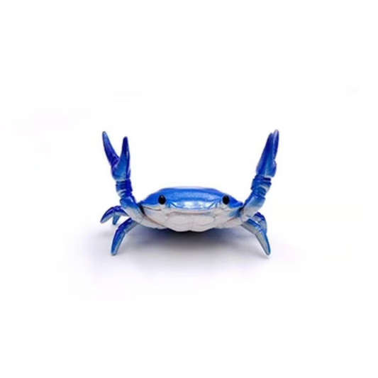 🦀 Cute Crab Pen Holder – Organize Your Desk with Fun & Style! 🖊️🎉 Compact, Creative & Perfect Gift Idea! 🎁